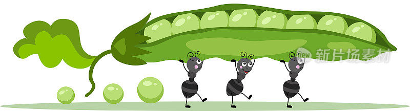 Cute ants carrying a green pod with peas